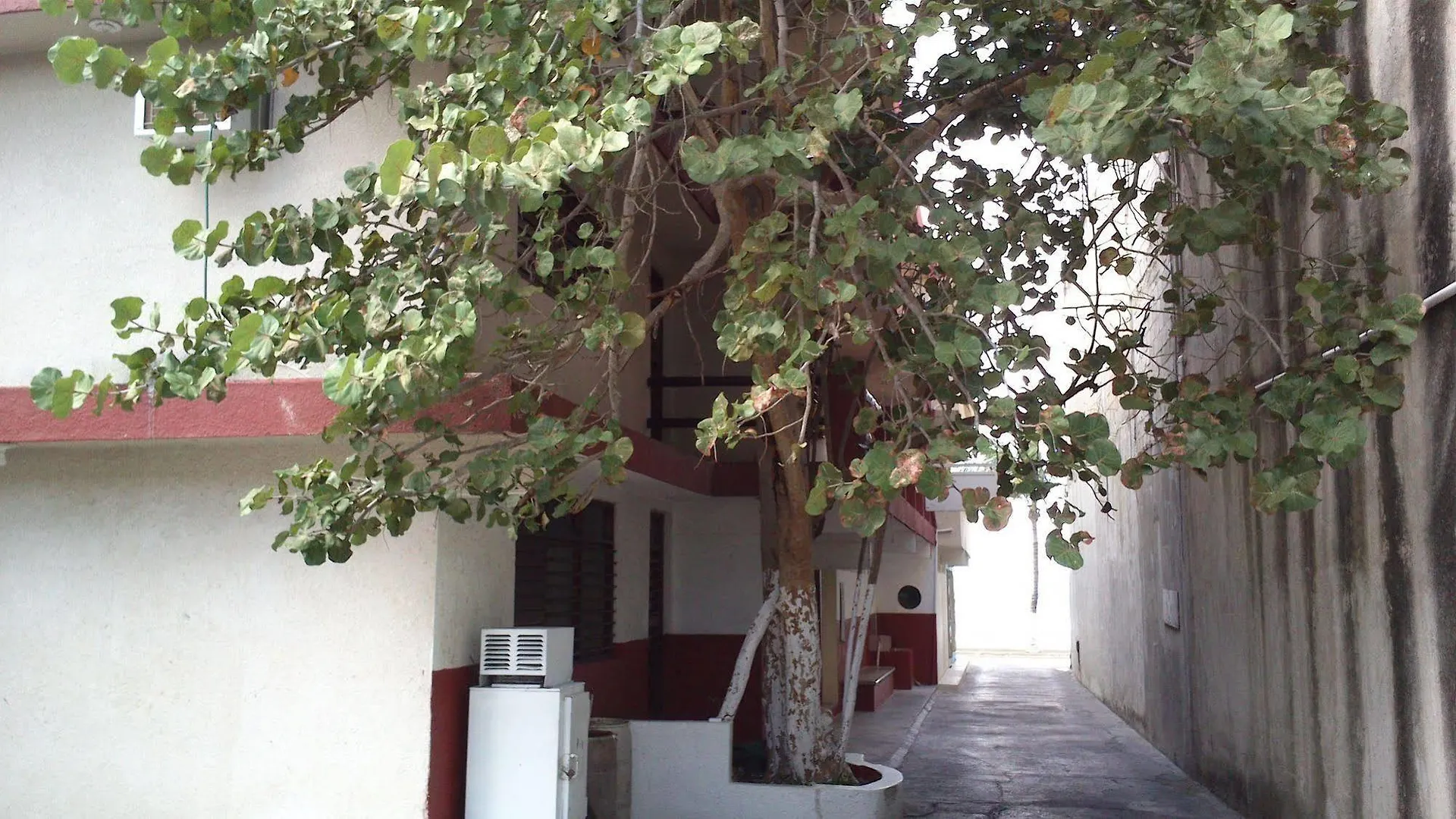 Safari Inn Cozumel 2*,