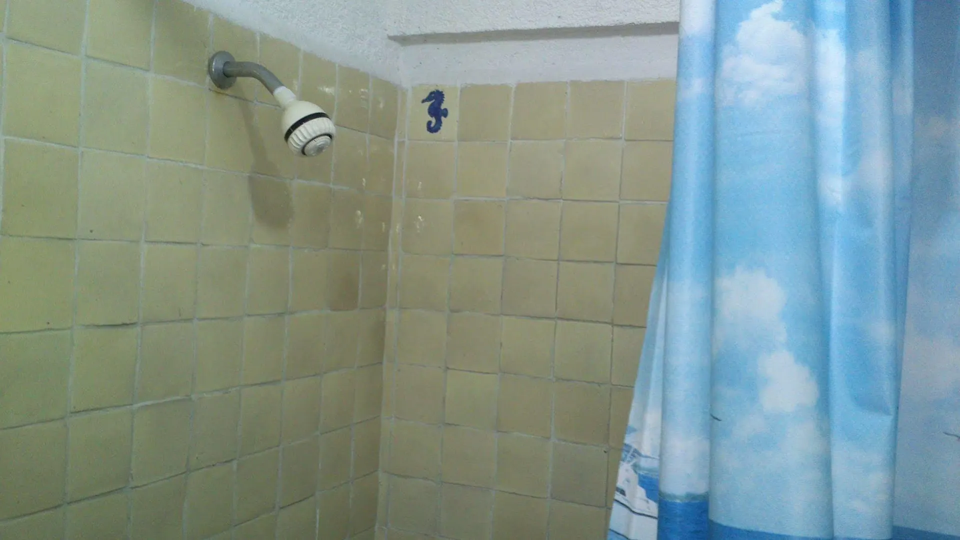 Safari Inn Cozumel 2*,